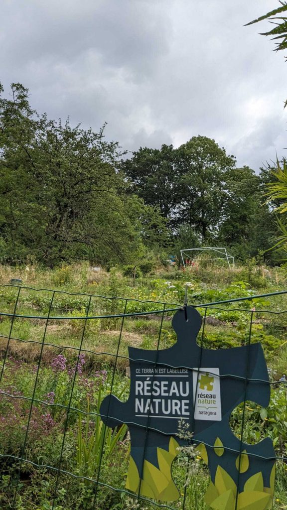 Jardin sauvage labellisé Réseau Nature par Natagora